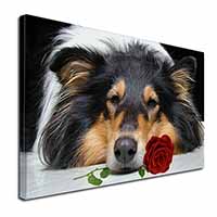 A Rough Collie Dog with Red Rose Canvas X-Large 30"x20" Wall Art Print