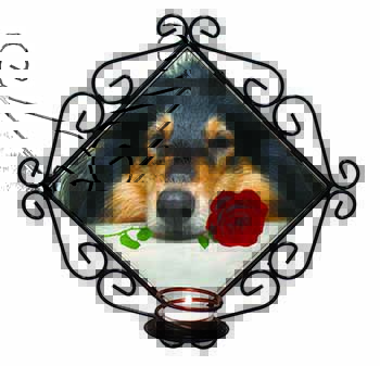 A Rough Collie Dog with Red Rose Wrought Iron Wall Art Candle Holder