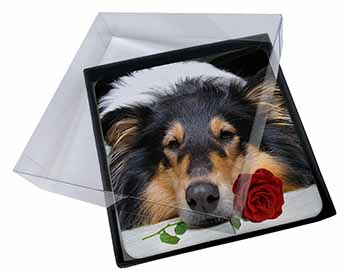 4x A Rough Collie Dog with Red Rose Picture Table Coasters Set in Gift Box
