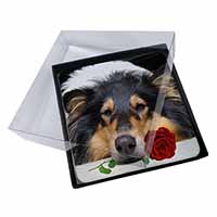 4x A Rough Collie Dog with Red Rose Picture Table Coasters Set in Gift Box