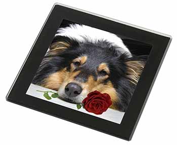 A Rough Collie Dog with Red Rose Black Rim High Quality Glass Coaster