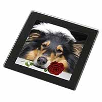 A Rough Collie Dog with Red Rose Black Rim High Quality Glass Coaster