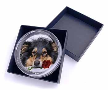 A Rough Collie Dog with Red Rose Glass Paperweight in Gift Box