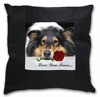 Rough Collie+Rose 