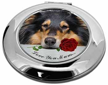 Rough Collie+Rose 