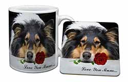 Rough Collie+Rose 