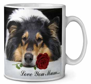 Rough Collie+Rose 