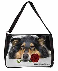 Rough Collie+Rose 