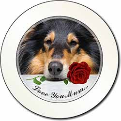 Rough Collie+Rose 