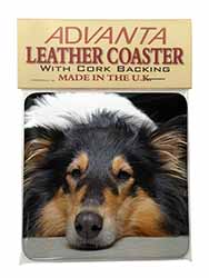 Tri-Colour Rough Collie Dog Single Leather Photo Coaster