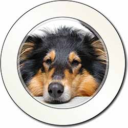 Tri-Colour Rough Collie Dog Car or Van Permit Holder/Tax Disc Holder
