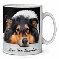 Rough Collie Dog 