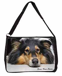 Rough Collie Dog 