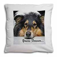 Rough Collie Dog 