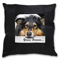 Rough Collie Dog 