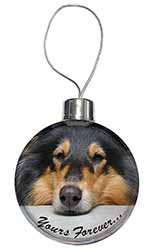 Rough Collie Dog 