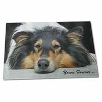 Large Glass Cutting Chopping Board Rough Collie Dog 