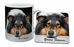 Rough Collie Dog 