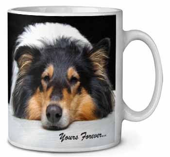 Rough Collie Dog 