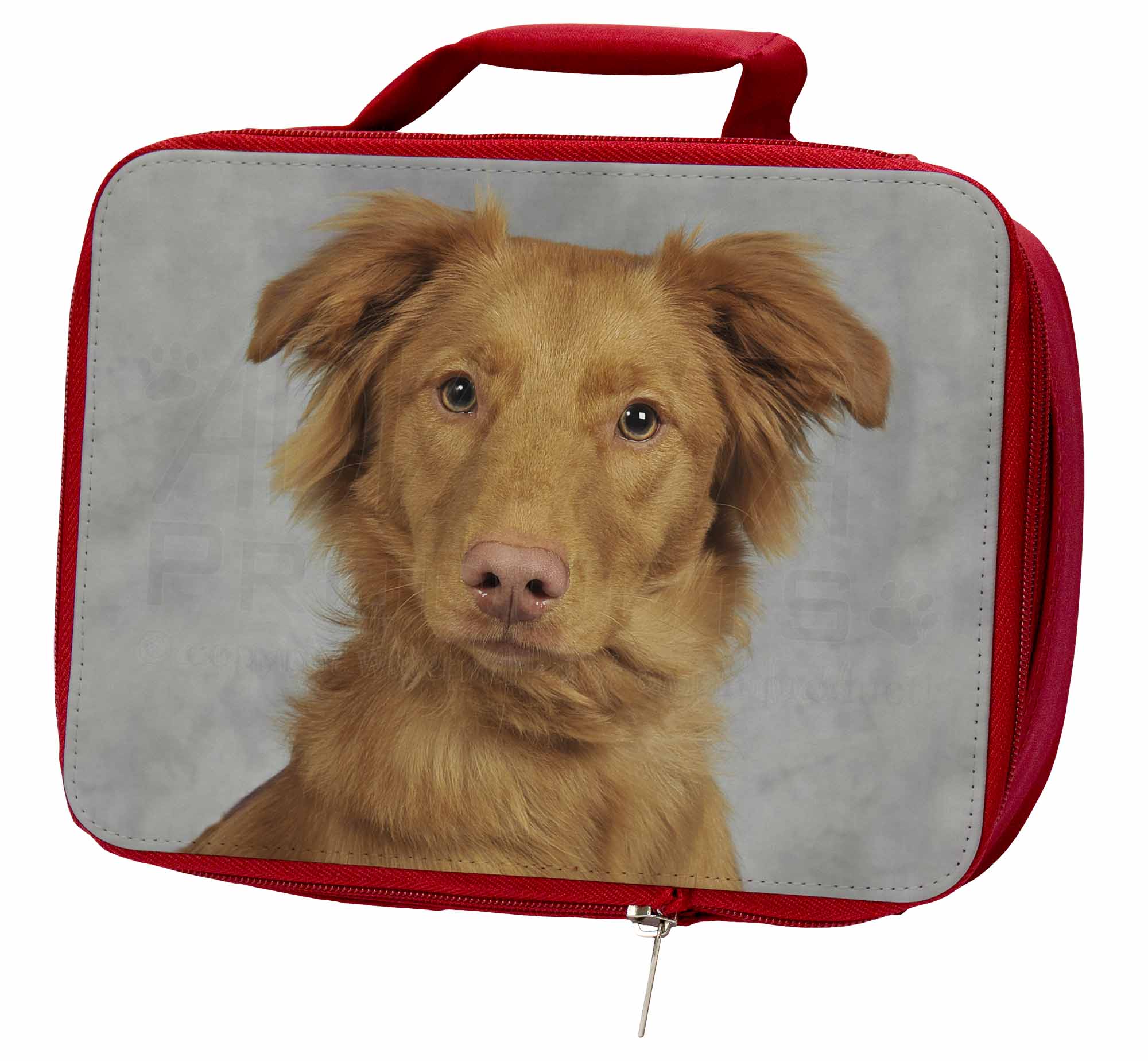 Nova Scotia Duck Retriever Insulated Red School Lunch Box/Picnic Bag, AD-RN2LBR Nova Box/Picnic Scotia Duck Retriever Insulated Red School Lunch Box/Picnic Nova Bag, AD-RN2LBR 23ae3e