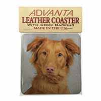 Nova Scotia Duck Retriever Single Leather Photo Coaster