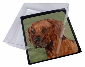 4x Rhodesian Ridgeback Dog Picture Table Coasters Set in Gift Box