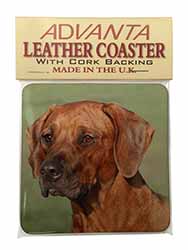 Rhodesian Ridgeback Dog Single Leather Photo Coaster