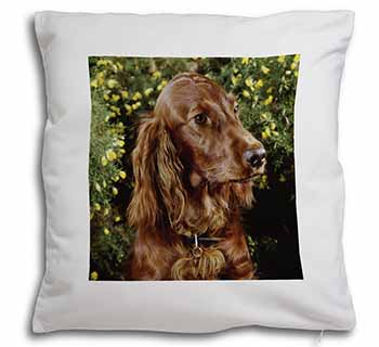 Irish Red Setter Dog Soft White Velvet Feel Scatter Cushion