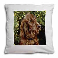 Irish Red Setter Dog Soft White Velvet Feel Scatter Cushion