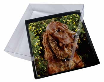 4x Irish Red Setter Dog Picture Table Coasters Set in Gift Box