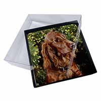 4x Irish Red Setter Dog Picture Table Coasters Set in Gift Box
