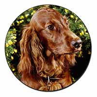 Irish Red Setter Dog Fridge Magnet Printed Full Colour