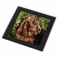 Irish Red Setter Dog Black Rim High Quality Glass Coaster