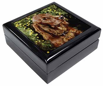 Irish Red Setter Dog Keepsake/Jewellery Box