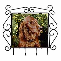 Irish Red Setter Dog Wrought Iron Key Holder Hooks