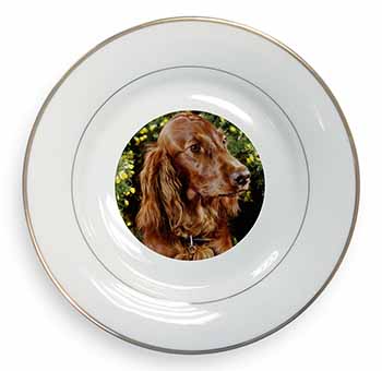 Irish Red Setter Dog Gold Rim Plate Printed Full Colour in Gift Box