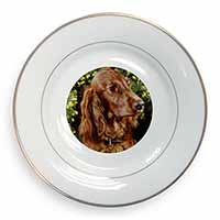 Irish Red Setter Dog Gold Rim Plate Printed Full Colour in Gift Box