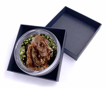 Irish Red Setter Dog Glass Paperweight in Gift Box