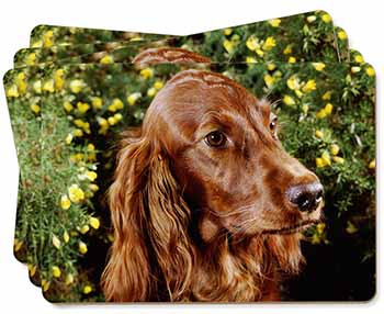 Irish Red Setter Dog Picture Placemats in Gift Box