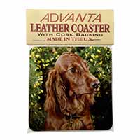 Irish Red Setter Dog Single Leather Photo Coaster