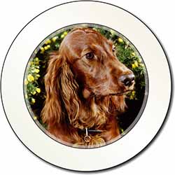 Irish Red Setter Dog Car or Van Permit Holder/Tax Disc Holder