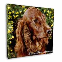 Irish Red Setter Dog 