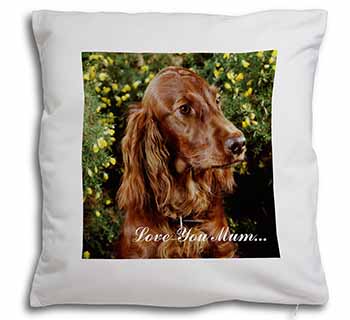 Irish Red Setter Dog 