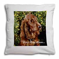 Irish Red Setter Dog 