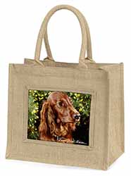 Irish Red Setter Dog 