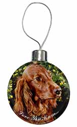 Irish Red Setter Dog 