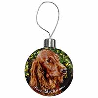 Irish Red Setter Dog 