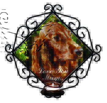 Irish Red Setter Dog 