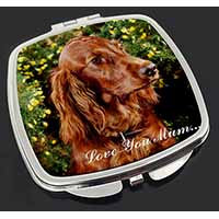 Irish Red Setter Dog 