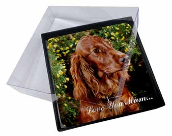 4x Irish Red Setter Dog 